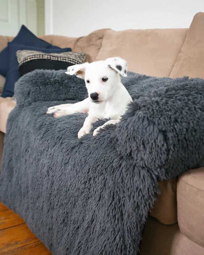 PAWSHION™ │ HUNDE-SOFASITZ - Alltagswelt