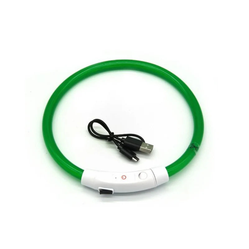 Leuchtendes Hundehalsband - Alltagswelt